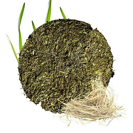 Produktbild von Lax Wiesen Knuspertaler - Vorratspack mit 20 Talern - 3,5 kg