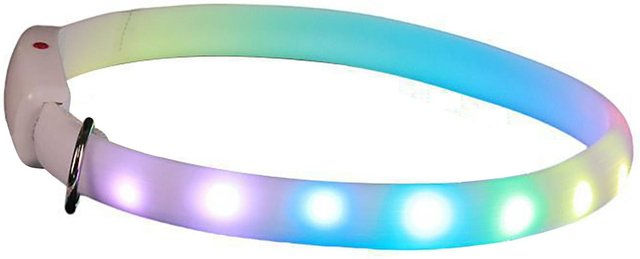 Produktbild von LED Hundehalsband Verstellbar USB Wiederaufladbar