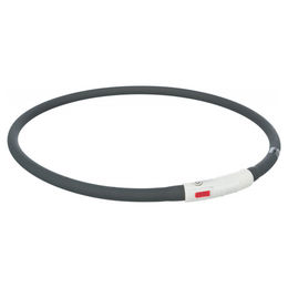 LED-Leuchtschlauch für Hunde – Bild 1 von 4