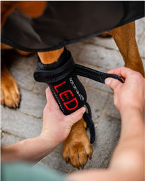 Produktbild von LED-Rotlicht-Therapie Haustiergamasche (1x Paar)