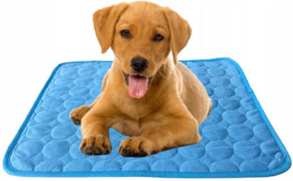 Ledander Hundematte Kühlmatte für Katzen und Hunde, blau, für Drinnen, Draußen und Auto – Bild 1 von 5