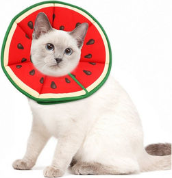 Produktbild von Ledander Schutzkragen Halskrause Katze, Einstellbarer Halskrause Katze Halsband, für Katzen Kleiner Hunde Nach Operation und Verletzungen