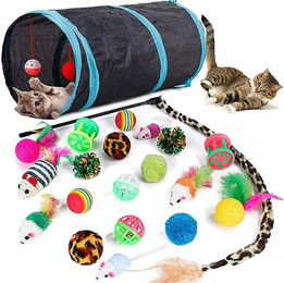 Produktbild von Ledander Tier-Beschäftigungsspielzeug 21/22 STÜCKE Katzenspielzeug Set mit Katzentunnel, Interaktives Katzen Spielzeug für Kätzchen