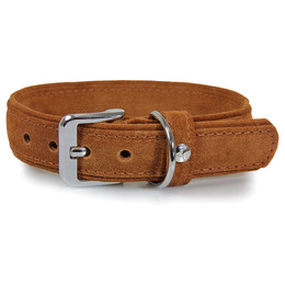 Produktbild von Lederband Hunde-Halsband Toronto cognac
