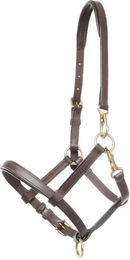 Lederfohlen- und Jährlingshalfter Kavalkade – Bild 1 von 2