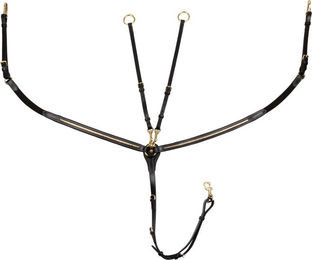 Produktbild von Ledergeflechter für Pferde Equestro Clincher New