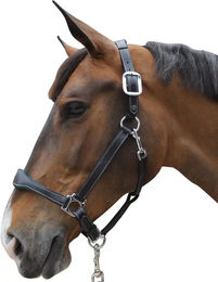 Produktbild von Lederhalfter Flags&Cup Paris