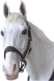 Produktbild von Lederhalfter Flags&Cup Paris