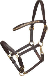 Produktbild von Lederhalfter für Fohlen HorseGuard Showhalter