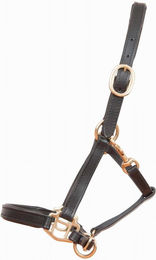 Produktbild von Lederhalfter für Fohlen oder Minischnauzer T de T