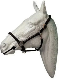 Produktbild von Lederhalfter für Pferd Hispano Hipica