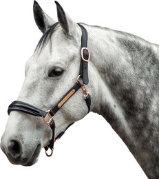 Produktbild von Lederhalfter für Pferde Bridlery Eternity