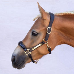 Produktbild von Lederhalfter für Pferde Bridlery Eternity