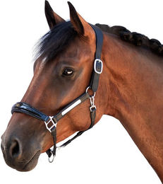 Produktbild von Lederhalfter für Pferde Bridlery Eternity Warmblut