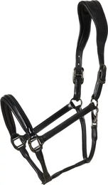 Produktbild von Lederhalfter für Pferde Catago Novi 25.1