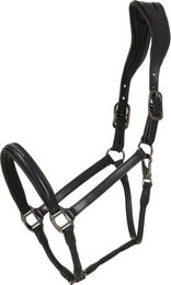 Produktbild von Lederhalfter für Pferde Catago Novi 25.2