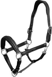 Produktbild von Lederhalfter für Pferde Equestrian Stockholm Glimmer Anatomic