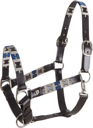 Produktbild von Lederhalfter für Pferde Equestro Polo