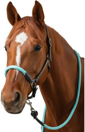 Produktbild von Lederhalfter für Pferde Flags&Cup