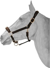 Produktbild von Lederhalfter für Pferde HFI
