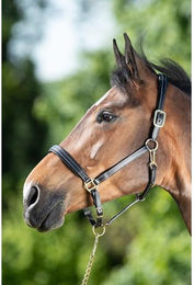Produktbild von Lederhalfter für Pferde HFI
