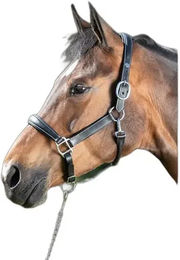 Produktbild von Lederhalfter für Pferde HFI
