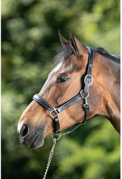 Produktbild von Lederhalfter für Pferde HFI Grooming