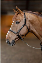 Produktbild von Lederhalfter für Pferde HFI Little Groom