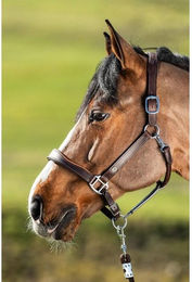 Produktbild von Lederhalfter für Pferde HFI Two-Tone