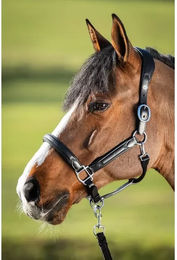 Produktbild von Lederhalfter für Pferde HFI Wave