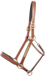 Produktbild von Lederhalfter für Pferde Kavalkade Bennet