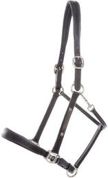 Produktbild von Lederhalfter für Pferde Kavalkade Bennet