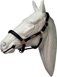 Produktbild von Lederhalfter für Pferde Lexhis