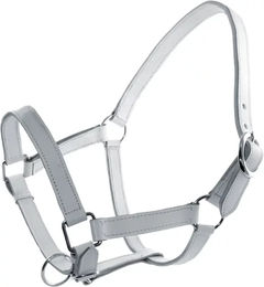 Produktbild von Lederhalfter für Pferde mit Chromfinish Derby