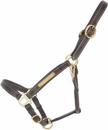 Produktbild von Lederhalfter für Pferde mit Plakette T de T