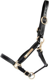 Produktbild von Lederhalfter für Pferde mit Platte T de T