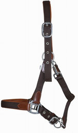 Produktbild von Lederhalfter für Pferde mit Riemen T de T