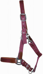 Produktbild von Lederhalfter für Pferde mit Riemen T de T