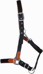 Produktbild von Lederhalfter für Pferde mit Riemen T de T