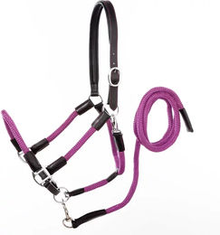 Produktbild von Lederhalfter für Pferde mit Seil Kavalkade Cavo