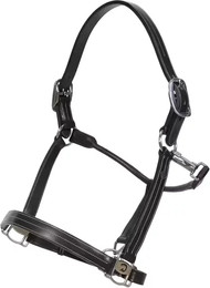 Produktbild von Lederhalfter für Pferde mit Verstellung Dy'on US