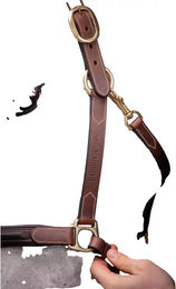 Produktbild von Lederhalfter für Pferde Paddock Sports