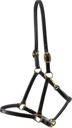 Produktbild von Lederhalfter für Pferde Premier Equine