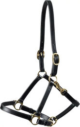 Produktbild von Lederhalfter für Pferde Premier Equine