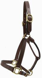 Produktbild von Lederhalfter für Pferde T de T Trippled Stiched