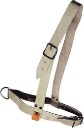 Produktbild von Lederhalfter für Stier Kamer