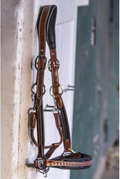 Produktbild von Lederhalfter für Vollblüter Pénélope Point Sellier