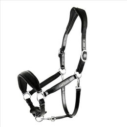 Lederhalfter SP Fremont – Bild 1 von 4