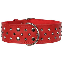 Produktbild von Lederhalsband mit Nieten für Hunde - 50 cm