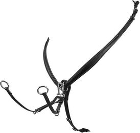 Produktbild von Lederhalsband mit Schnalle Equestro